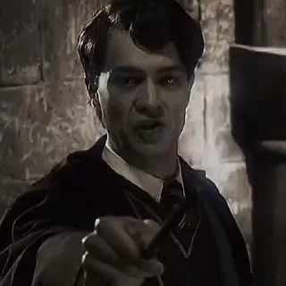 🐍