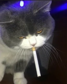 🚬