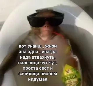 🤩