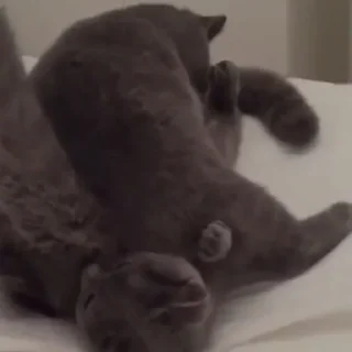 🔄