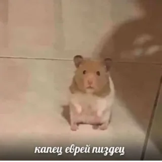 💸