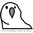 😂