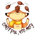 🌰