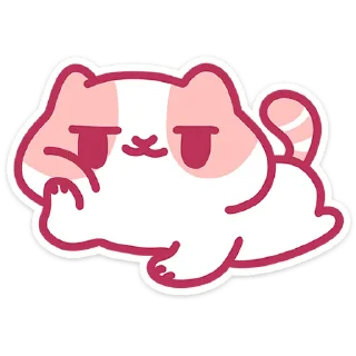 🐱