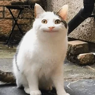 ☺️