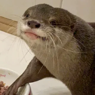 😐