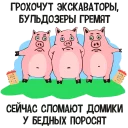 🐷