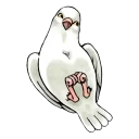 🐦