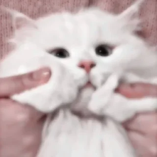 💋