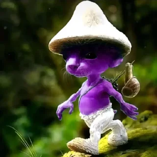 🍄