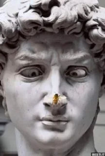 🐝
