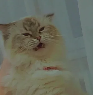 🦁