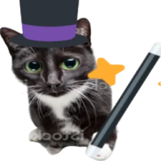 🧙‍♂