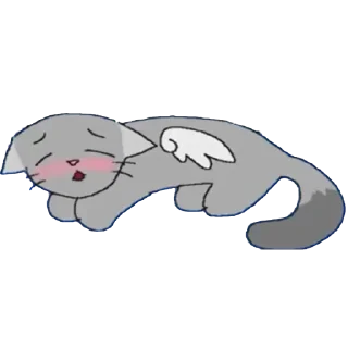 😿
