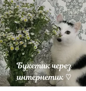 💐