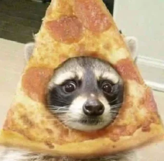 🍕