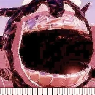 😨