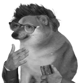 😎