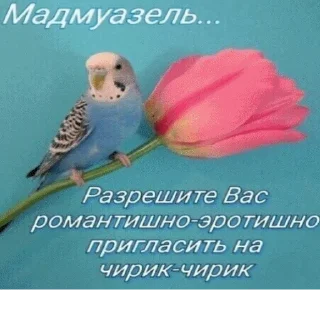 🥰