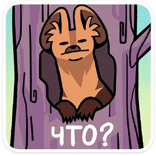 ⭐