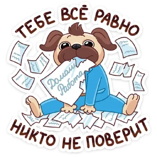🐶