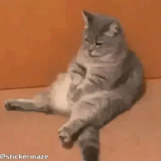 😮‍💨