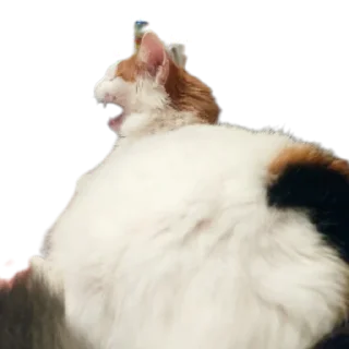 🤯