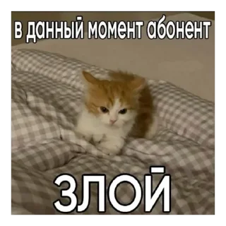 👎