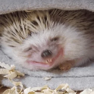 😁