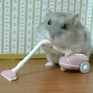 😮‍💨