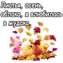 🍁