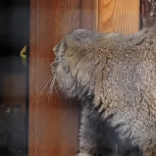 👋