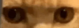 👀
