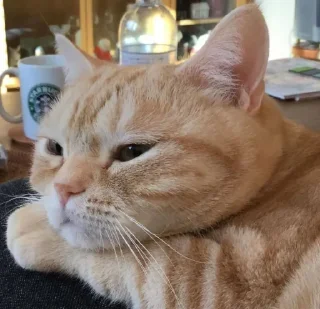 😑