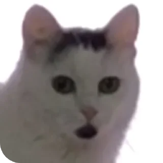 😳