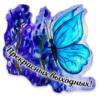 🦋