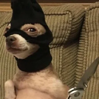 😑
