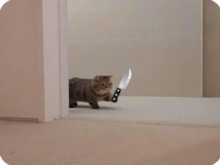 🔪