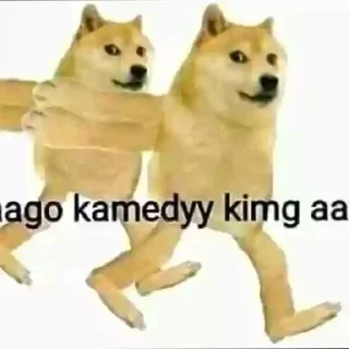 ⚡