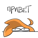 iwtdy