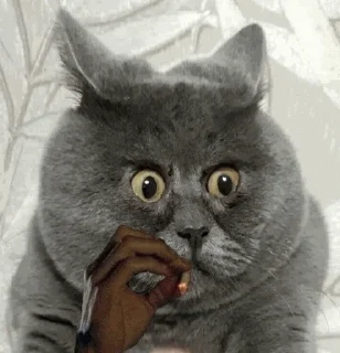 😲
