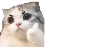 👍