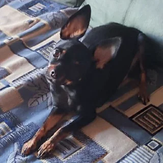 😐