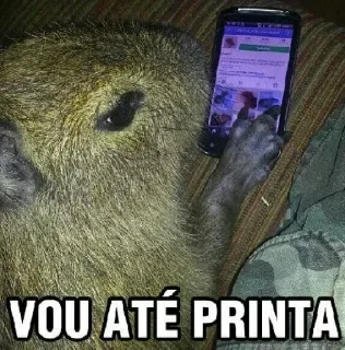📱