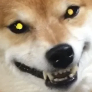 👹
