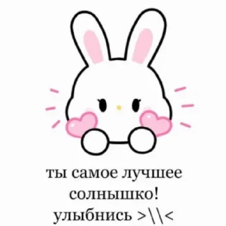 🐇