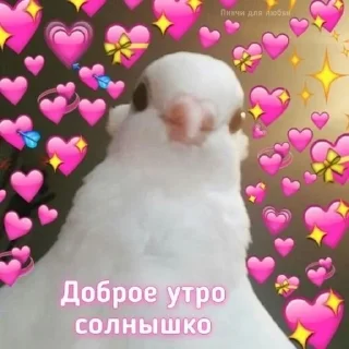 😴