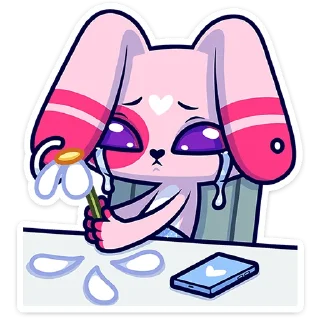 🐰