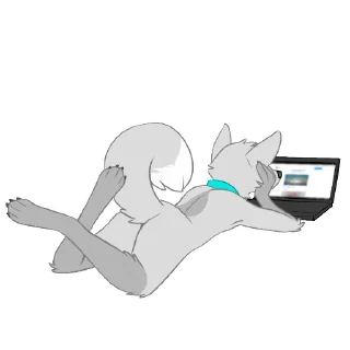 💻