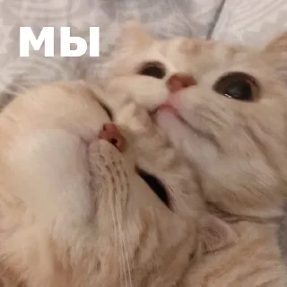 😊
